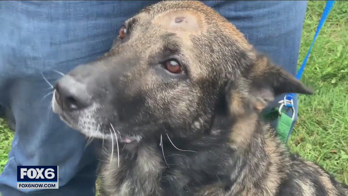 Illinois man charged; Bristol incident that led to K-9 being shot